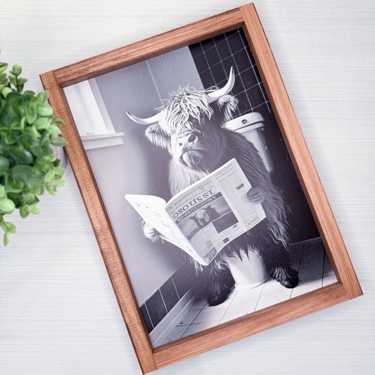 Framed artwork of a highland cow reading a newspaper on a tiled floor.