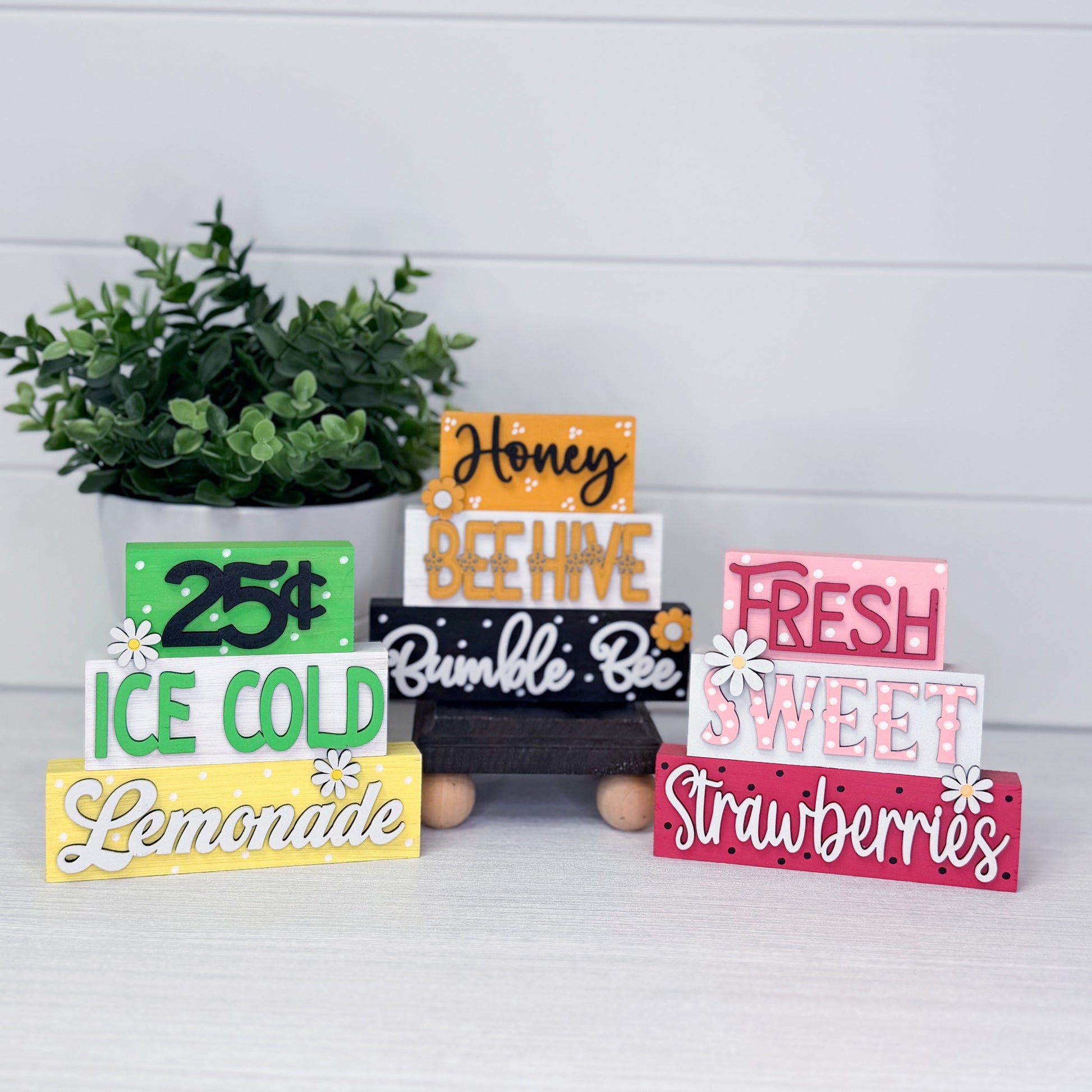 Set of colorful wooden signs with text on a white surface with a plant in the background
