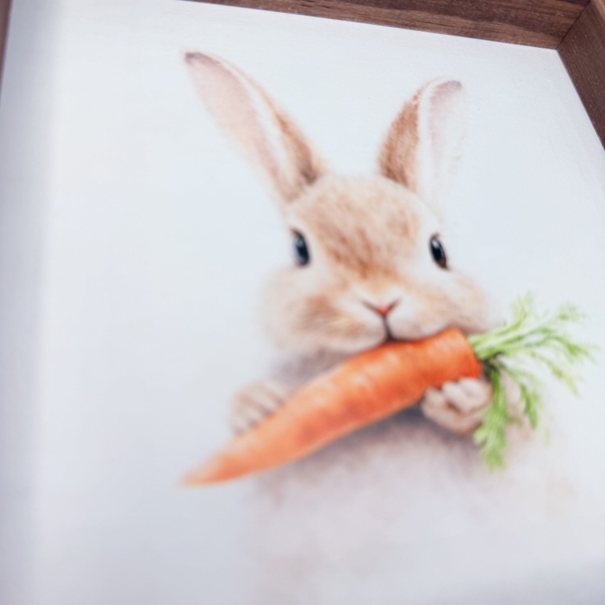 Illustration of a rabbit holding a carrot on a white background