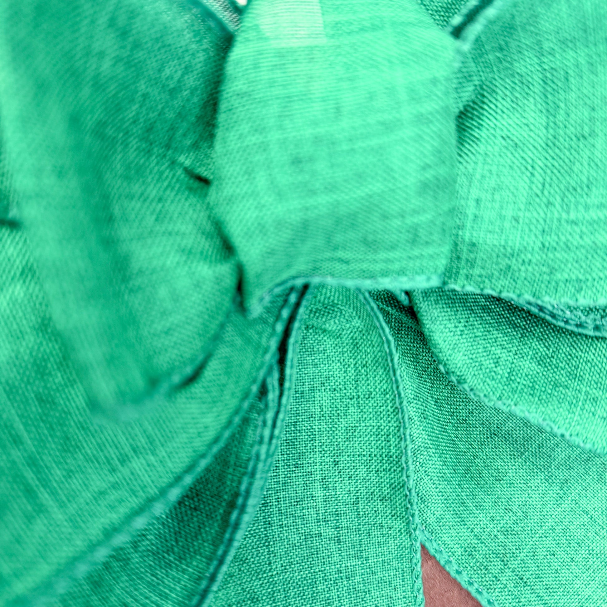 Close-up of green bow