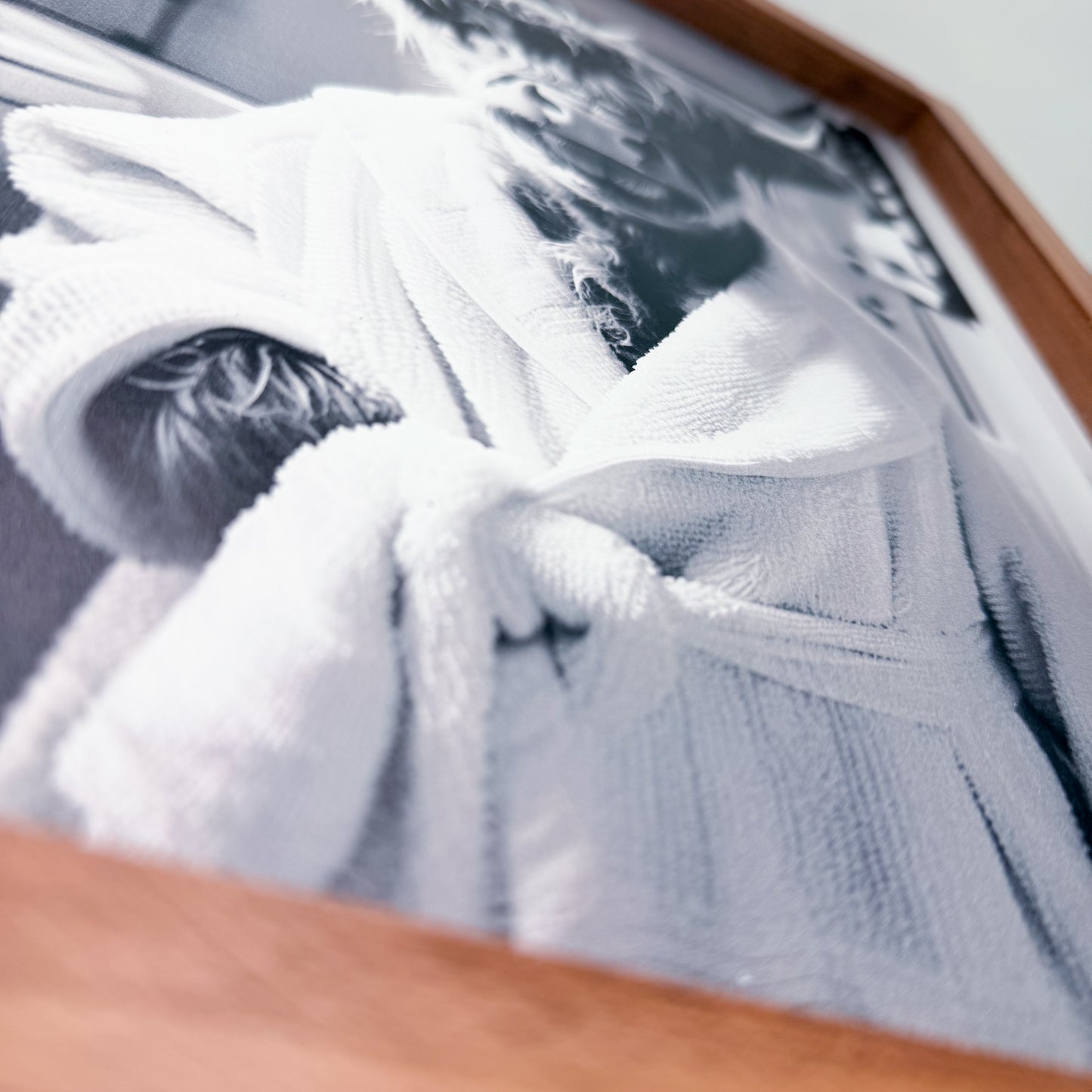 Close-up of a cow in white robe