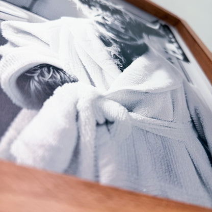 Close-up of a cow in white robe