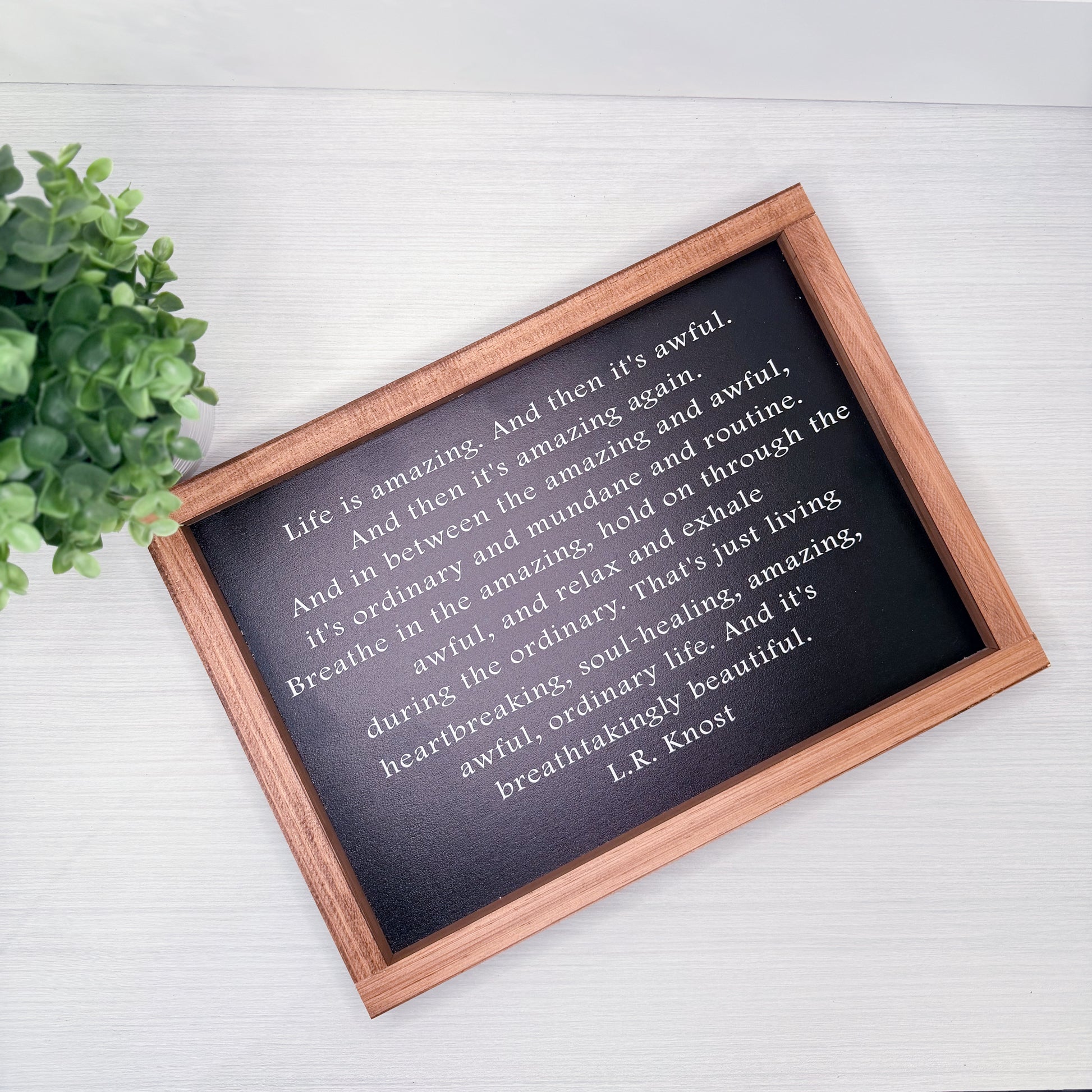 Wooden-framed quote by L.R. Knost on a white surface with a plant.