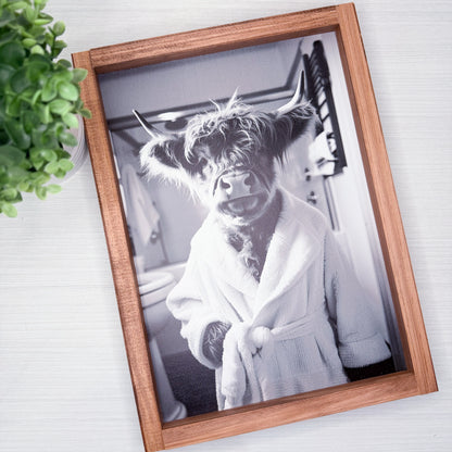 Framed black and white photo of a cow in a robe on a light background