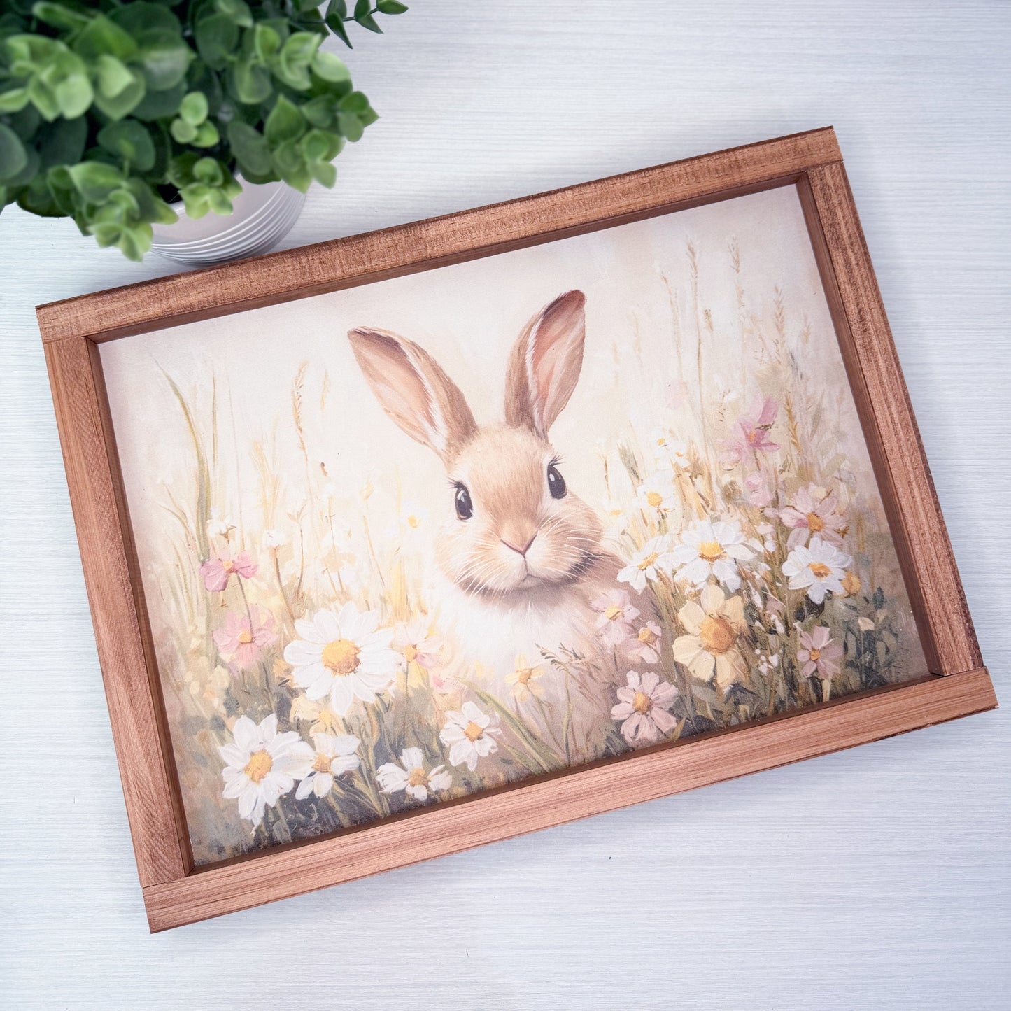 Framed artwork of a rabbit among flowers on a white surface with a plant in the corner.