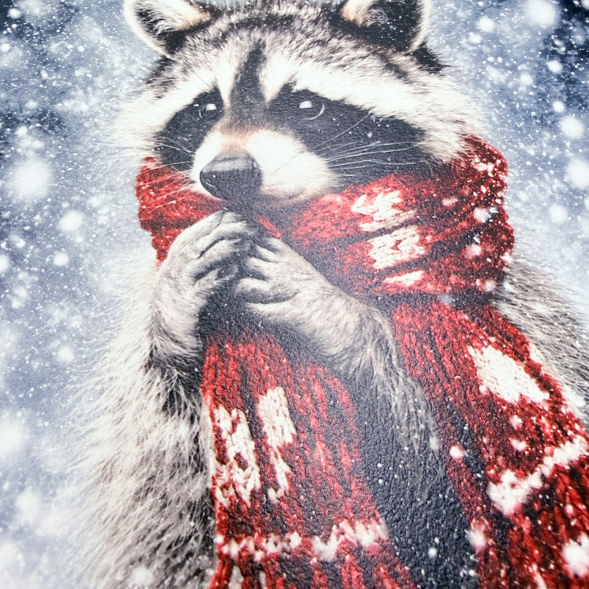 Winter Raccoon Wood Sign